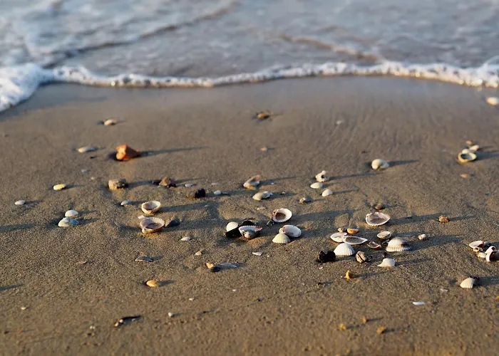 Flat Featuring A Large Sun-filled Terrace *